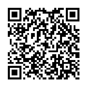 这个世界上竟然还有能在体型上碾压黑龙的存在二维码生成