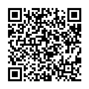 这个世界便是曾经道给他说过的那个降临预言的世界二维码生成