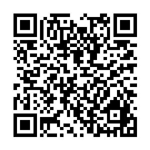 这个世界内的修士此时都开始向着圣山的方向汇聚二维码生成