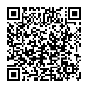 这个中年男子便是今天要来拜访秦嫣然姥姥叶慧琴的国内著名收藏家赵忠南二维码生成