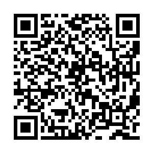 这个丹田居然在自己一念之间衍化成了驯兽丹田二维码生成