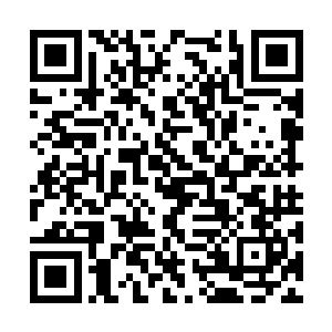 这个丹药正是之前的时候再拍卖会出现的九转金丹二维码生成