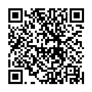 这个之前就仿佛被吓坏了呆在一边的金币主教由于实力低微二维码生成