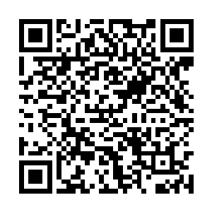 这个信号是闫家那几个老家伙之间互相传信的东西二维码生成