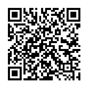 这个倒是跟秦方之前的状态有点相似……相当于进阶了二维码生成