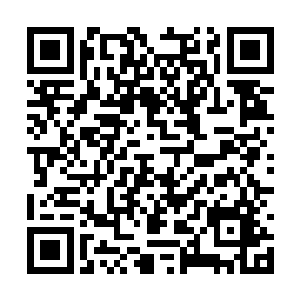 这个储物箱要比各位师兄的储物戒指空间大出太多二维码生成