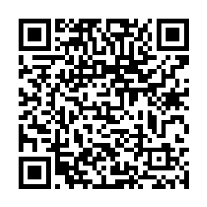 这个分身那可是相当于读力于本尊之外的一个存在二维码生成
