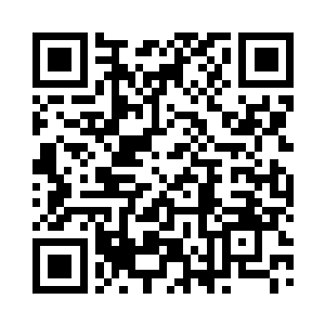 这个剧情世界原本就是一些小打小闹的二维码生成