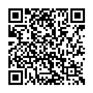 这个副本区域是发生在我们生活的那个城市……二维码生成