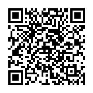 这个听雨轩就是老夫人给你和五小姐安排好的院子二维码生成