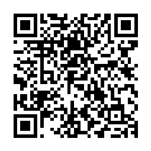 这个囚牛和琴瑟色幼时解除的那个乐仙府的囚牛可不是一个类型二维码生成