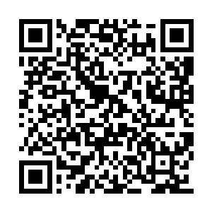 这个团队在整个星落战队中的地位想必不会太高二维码生成