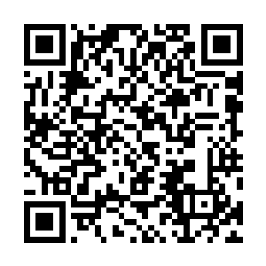 这个在她面前总是唯唯诺诺的家伙竟然敢阻止自己的行动二维码生成