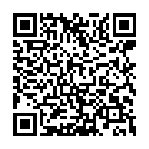 这个地方竟然用神识一点都看不书有任何的异常二维码生成