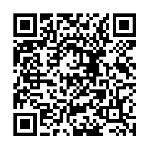 这个外号狗牙的那身是因为犬牙长得比较尖得到的外号二维码生成
