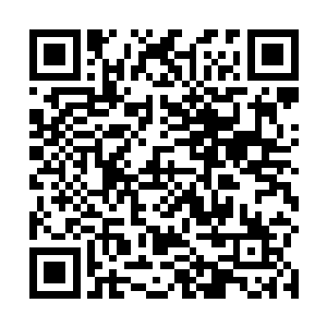 这个大夫没有经历过当初裴元修一言不对就杀掉一个人二维码生成