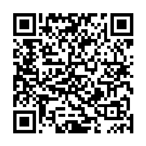 这个天阶二星初期执事的战力比不上天阶二星初期的学员二维码生成