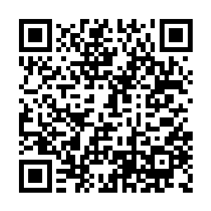 这个女人对美貌的追求完全已经到了变态的地步二维码生成