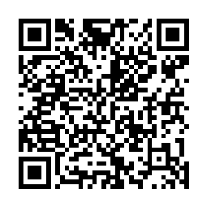 这个婚纱可是她让明昊陪她去巴黎著名设计师哪里定做的二维码生成