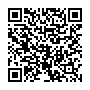 这个宫主的实力虽然在混沌至尊域算不上什么高手二维码生成