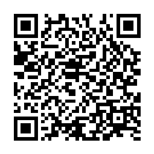 这个家伙到底有设呢木本事竟然敢在这个时候出手二维码生成