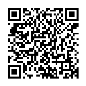 这个家伙可是安宁山圣熊部落的首领据说实力比上位神灵还强呢二维码生成