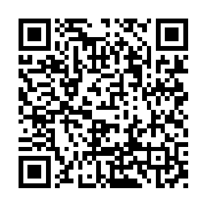 这个家伙和塞内尔家族的那个供奉骑士站在一起二维码生成