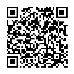 这个家伙的神色看上去一点也没有捉急的意思啊二维码生成