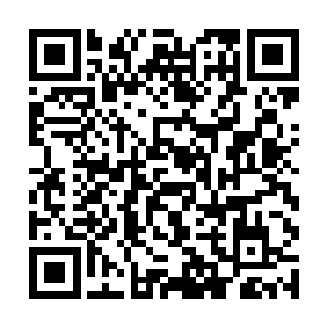 这个小子……竟然还真让他在这不毛之地脱凡成功了二维码生成