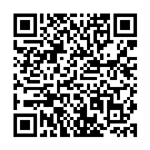 这个小子的身上隐藏着太多太多耐人寻味而又无法解答的秘密二维码生成