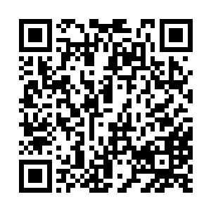 这个小樱桃的得名让她也不知道私下里哭过好几回二维码生成