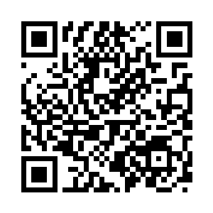 这个小男孩显然是知道对方想要做什么一样二维码生成