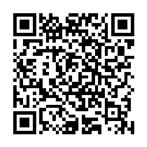 这个少年怎么能够承受得住一个高阶高手这么恐怖的压力二维码生成