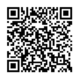 这个巨石在靠近肖云的瞬间便是冻结在了半空中二维码生成
