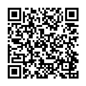 这个布拉佩的小混混似乎在楼下等了差不多整整一夜二维码生成