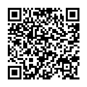 这个年轻人是罗斯柴尔德家族的顺位继承人之一二维码生成