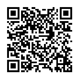 这个年轻人本就是连甩手掌柜都算不上的牵线傀儡二维码生成