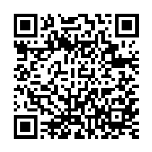 这个年轻人还将从赫拉迪姆魔法议会带来的赏金发放给了他们二维码生成