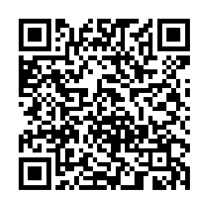 这个庞大的组织也是除了曼陀罗意外的一个强大武力二维码生成