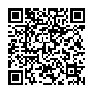 这个当年给他送神圣学院录取通知书的红衣大主教二维码生成