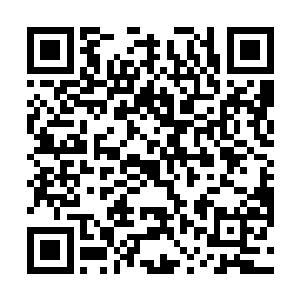 这个感情上的千古雏鸟壮着胆子将许紫烟的手握住之后二维码生成