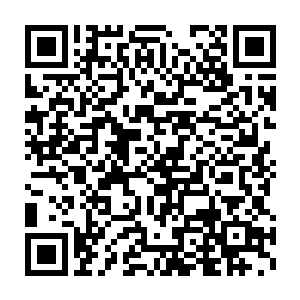 这个成事不足败事有余的老管家……南宫流云或许本来想杀金元宝二维码生成