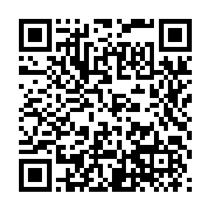 这个扯衣服的动作一下勾出了龙天漪很多的童年记忆二维码生成