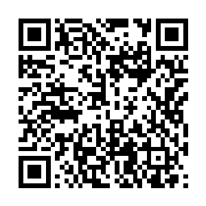 这个拥有轮回武魂的人一定要吸收到我们武魂圣殿二维码生成
