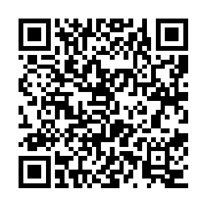 这个按键上忽然有一道绿色的光芒扫过他的掌心二维码生成