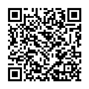 这个数量虽然和星空的修士相比简直是少得可怜二维码生成