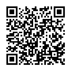 这个方案确实把个人和集体的利益全都照顾到了二维码生成