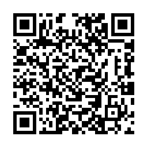 这个时候丁长生才明白为什么会有那么多的栈桥伸向湖里二维码生成