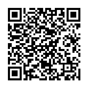 这个时候也是抓住沙发的扶手往前探了一下自己的身体二维码生成