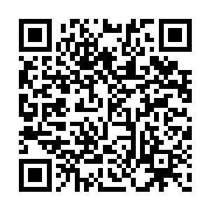这个时候他们对杨家动手显然也没有什么稀奇的二维码生成